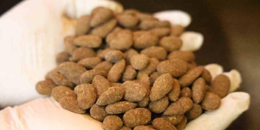 Geleneksel iki lezzet buluştu yenilik çok sevildi! Kahveyle badem şekerinin buluşması yoğun ilgi gördü 4